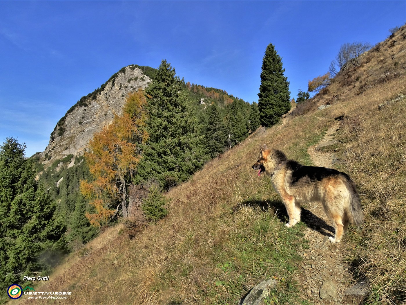 18 Forcolino di Torcola (1856 m) in vista.JPG